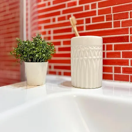 Maison Serena Bocconi-navigli * Milano